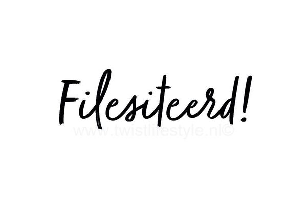 Postkaart - Filesiteerd! - Bildts - by Twist Lifestyle