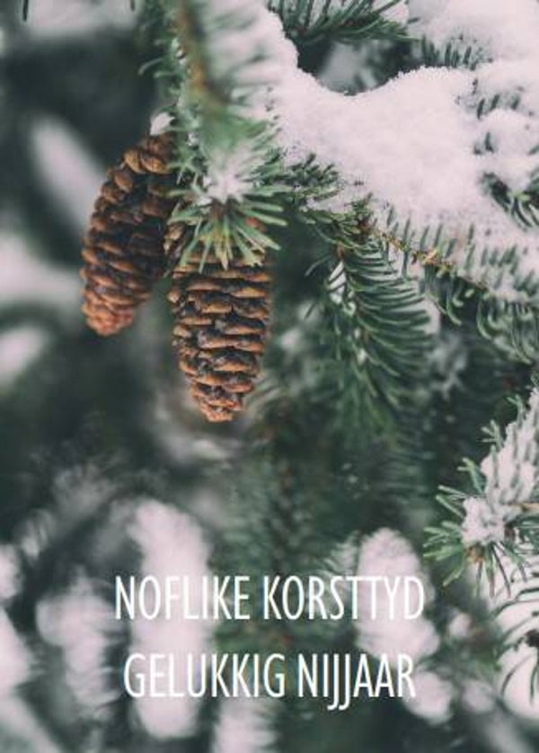 Kerstkaart Twist Lifestyle - Bildts (2)
