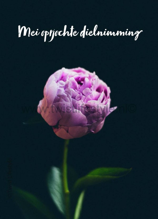 Postkaart - Mei oprjochte dielnimming (4) - Frysk - by Twist Lifestyle