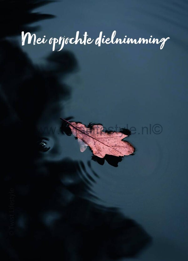 Postkaart - Mei oprjochte dielnimming (1) - Frysk - by Twist Lifestyle