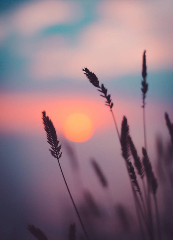 Postkaart Sunset - by Twist Lifestyle