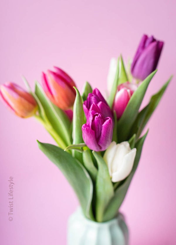 Postkaart Tulpen - by Twist Lifestyle