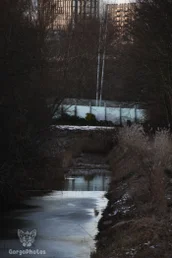 sneewfoto20-1_0002.webp
