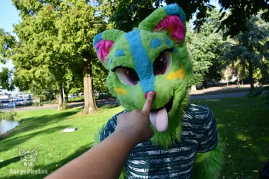 fnl-picknick2023_0084.webp