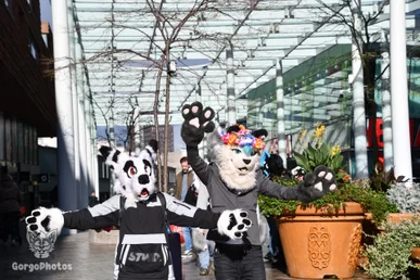 almere2023_0026.webp