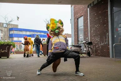 almelofurwalk2024-70-standard.webp