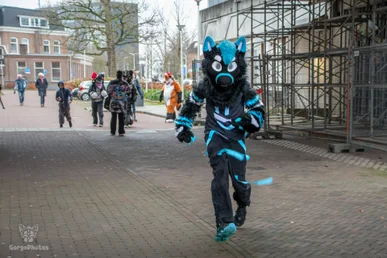 almelofurwalk2024-72-standard.webp