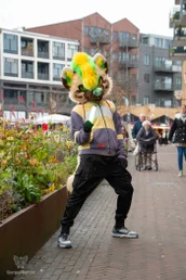 almelofurwalk2024-73-standard.webp