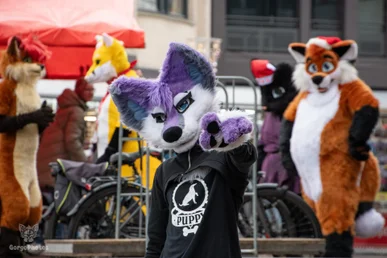 almelofurwalk2024-79-standard.webp