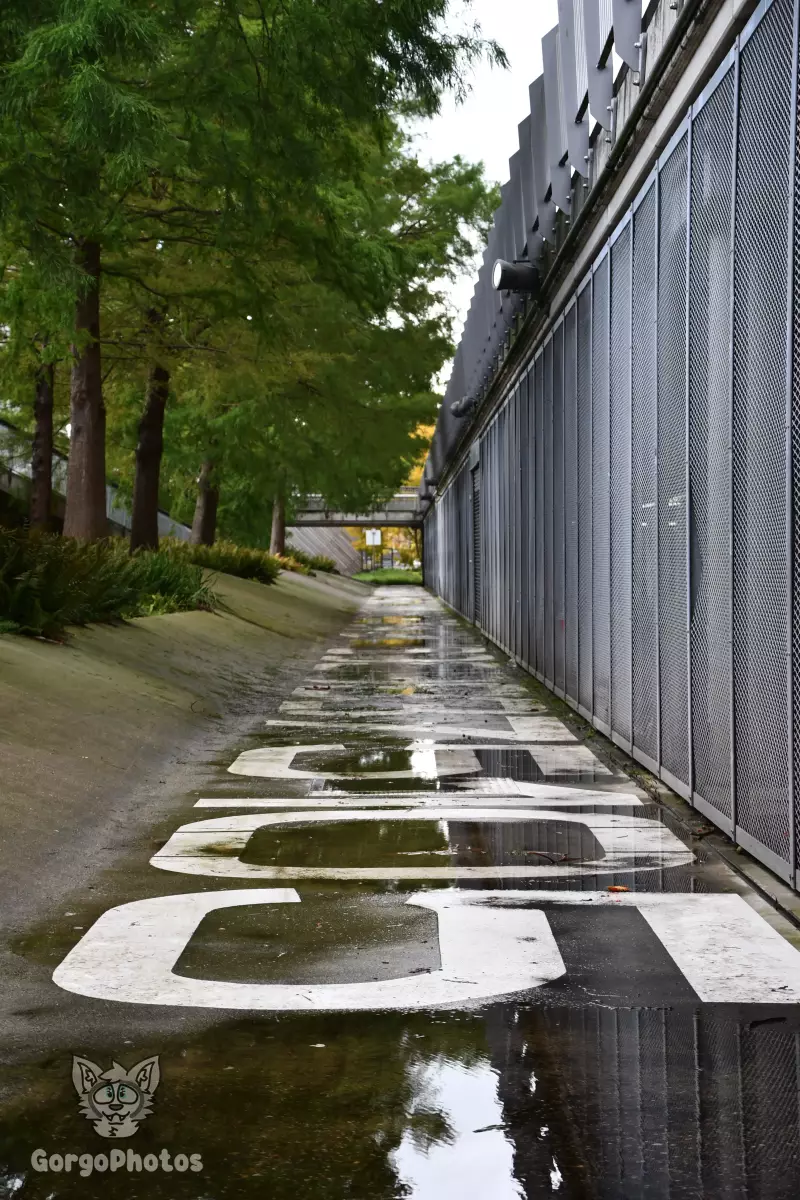almere2023_0056.webp
