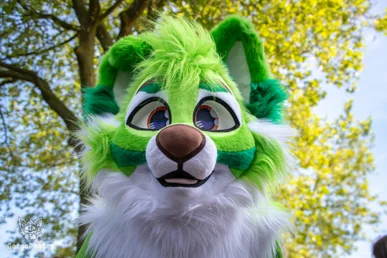 amersfoortfurwalkffs-14-standard.webp