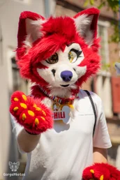 amersfoortfurwalkffs-28-standard.webp