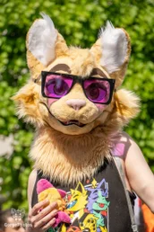 amersfoortfurwalkffs-29-standard.webp