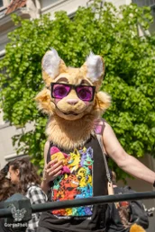 amersfoortfurwalkffs-30-standard.webp
