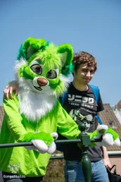 amersfoortfurwalkffs-33-standard.webp