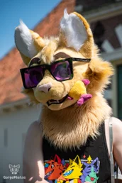 amersfoortfurwalkffs-34-standard.webp