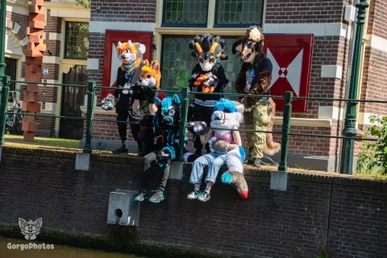 amersfoortfurwalkffs-38-standard.webp