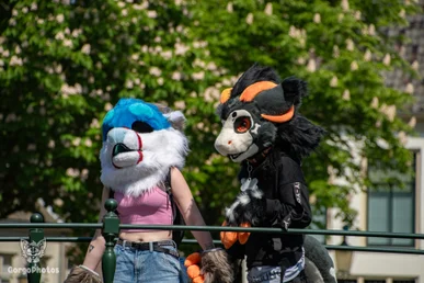 amersfoortfurwalkffs-42-standard.webp