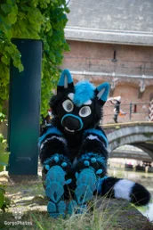 amersfoortfurwalkffs-45-standard.webp