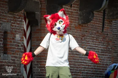 amersfoortfurwalkffs-49-standard-zhrh7h.webp