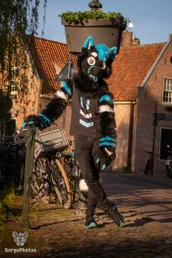 amersfoortfurwalkffs-68-standard.webp