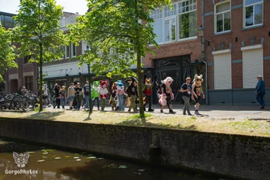 amersfoortfurwalkffs-9-standard.webp