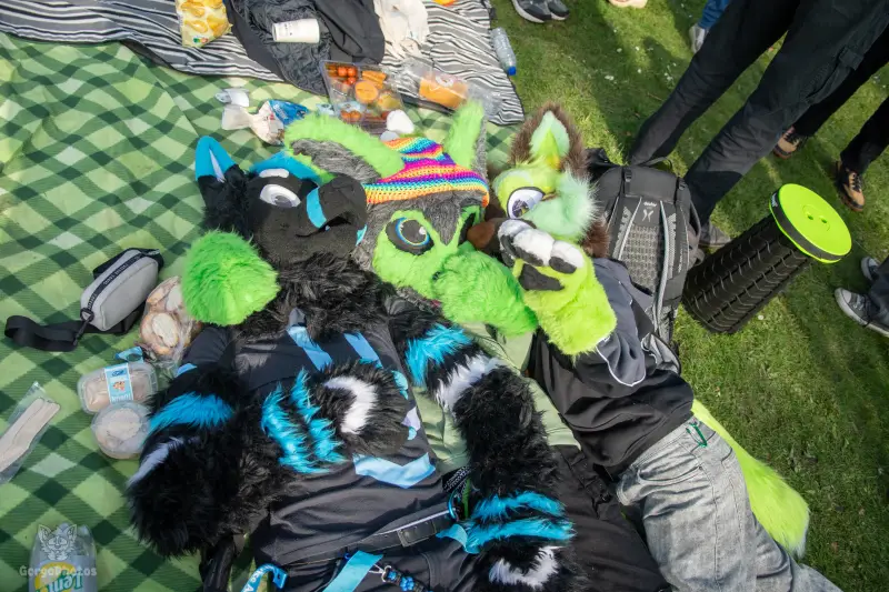arnhemfurmeet_sonsbeek-33-standard-75ac24.webp