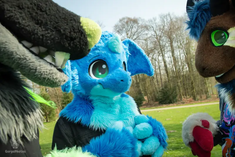 arnhemfurmeet_sonsbeek-40-standard.webp