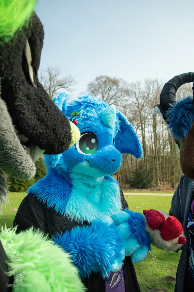arnhemfurmeet_sonsbeek-41-standard-6ttnoo.webp