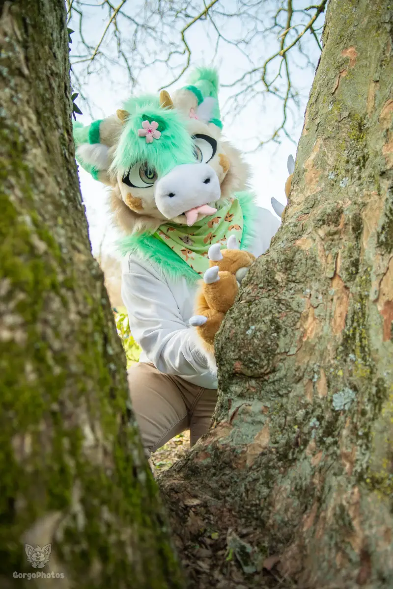 arnhemfurmeet_sonsbeek-44-standard.webp