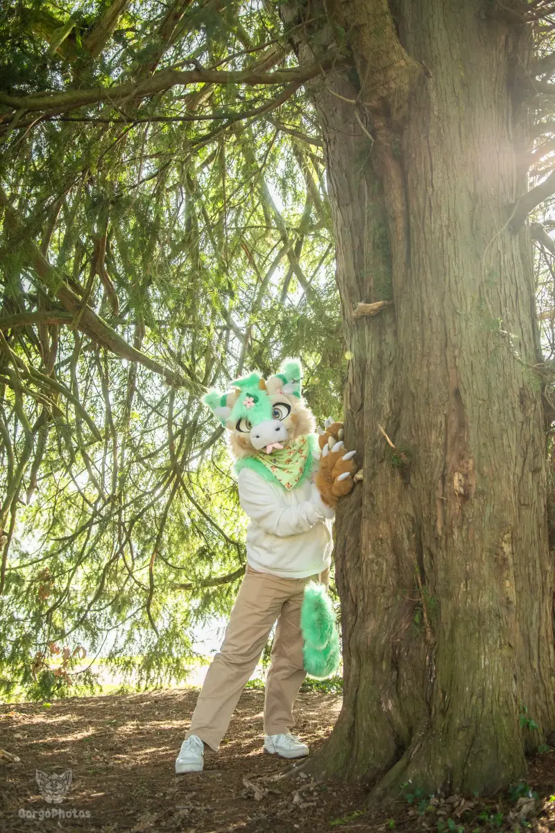 arnhemfurmeet_sonsbeek-47-standard.webp