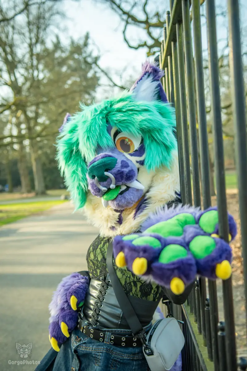 arnhemfurmeet_sonsbeek-63-standard.webp