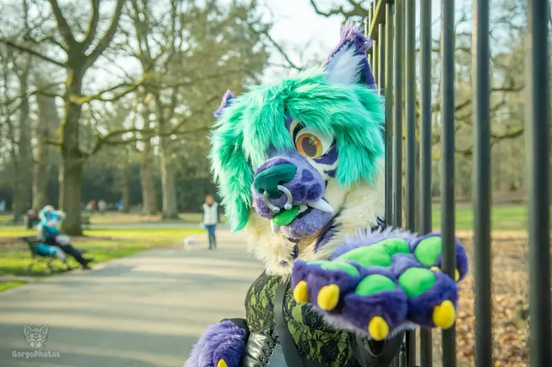 arnhemfurmeet_sonsbeek-64-standard.webp
