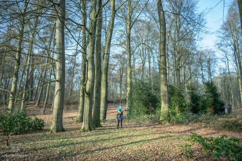 arnhemfurmeet_sonsbeek-73-standard.webp
