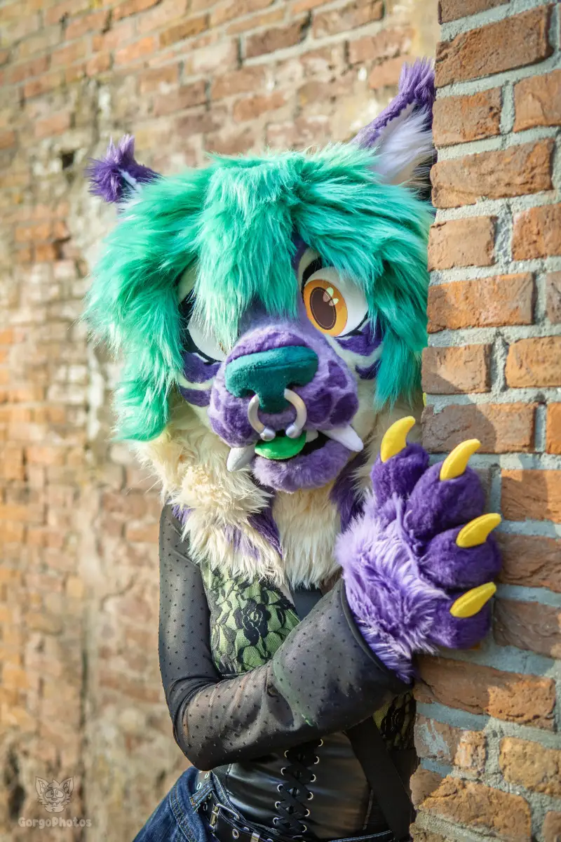 arnhemfurmeet_sonsbeek-81-standard.webp