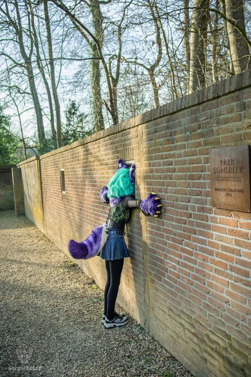 arnhemfurmeet_sonsbeek-84-standard.webp