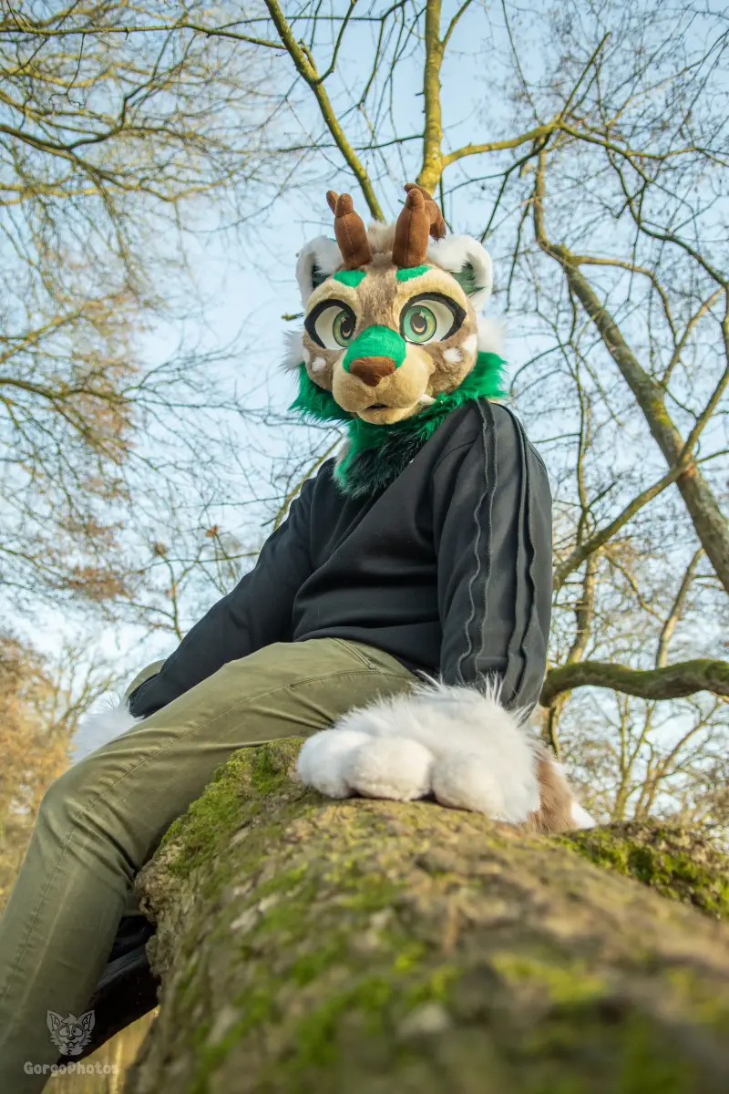 arnhemfurmeet_sonsbeek-89-standard.webp