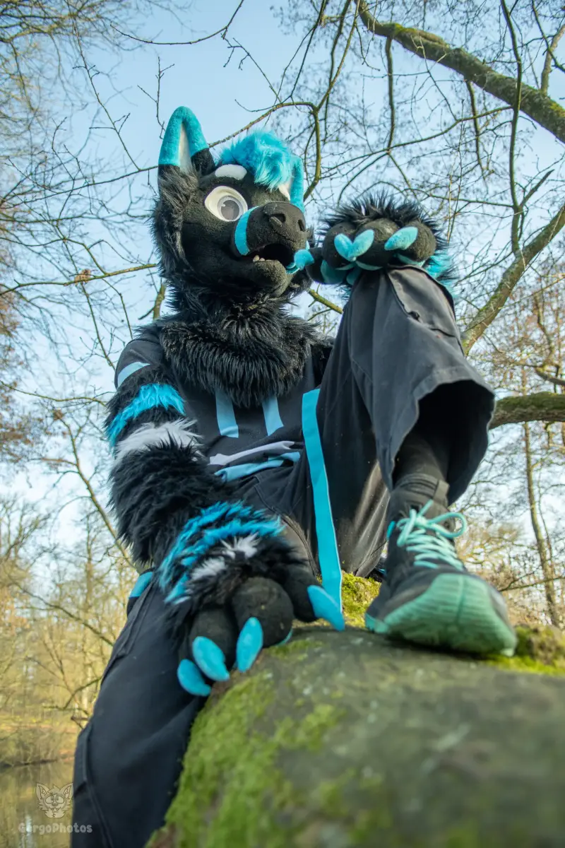 arnhemfurmeet_sonsbeek-94-standard.webp