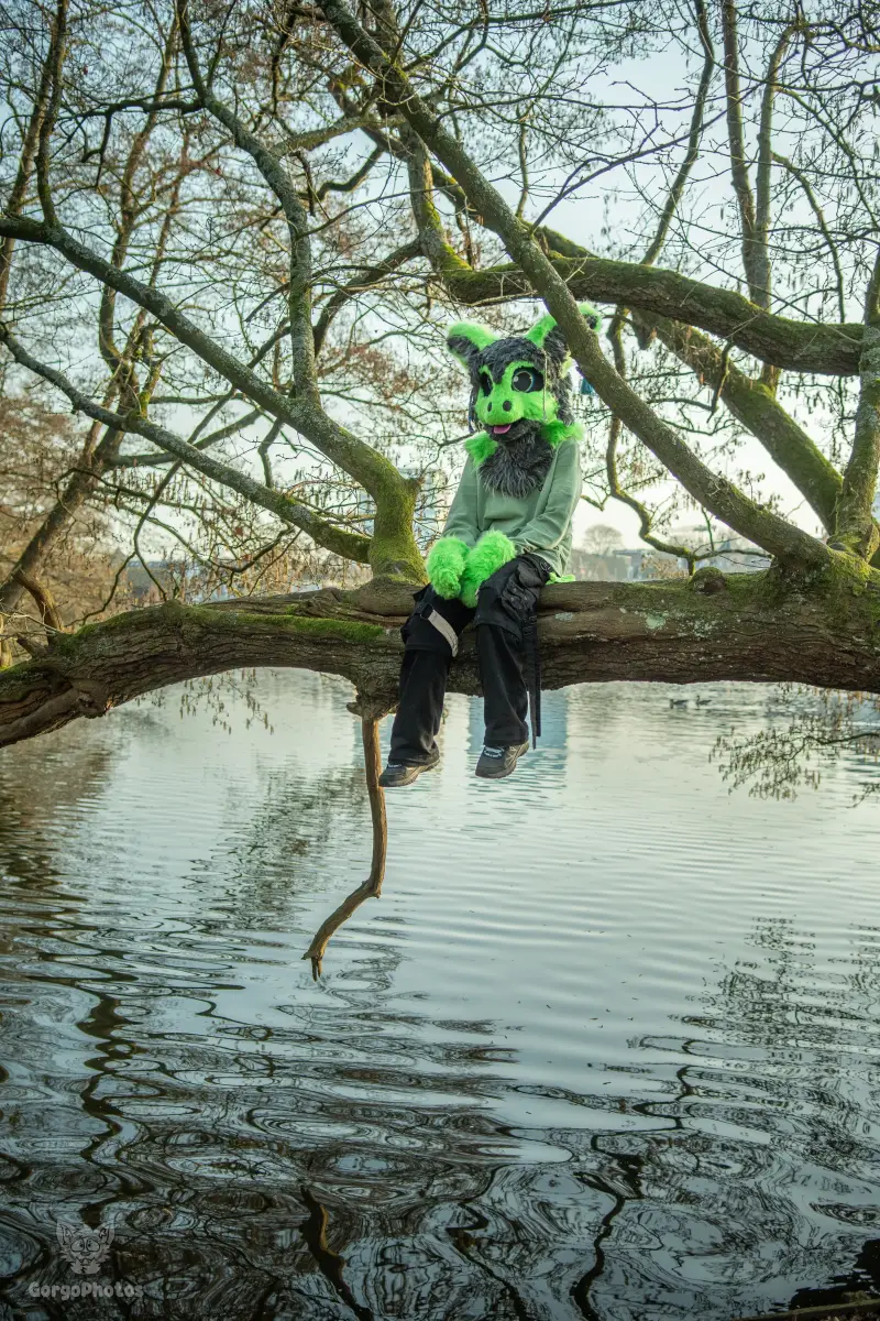 arnhemfurmeet_sonsbeek-95-standard.webp