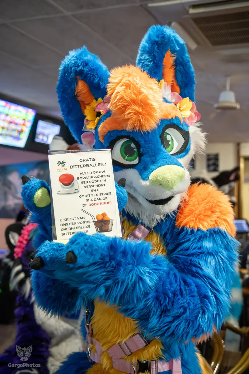 blukysbowlingmeet-8-3-standard.webp