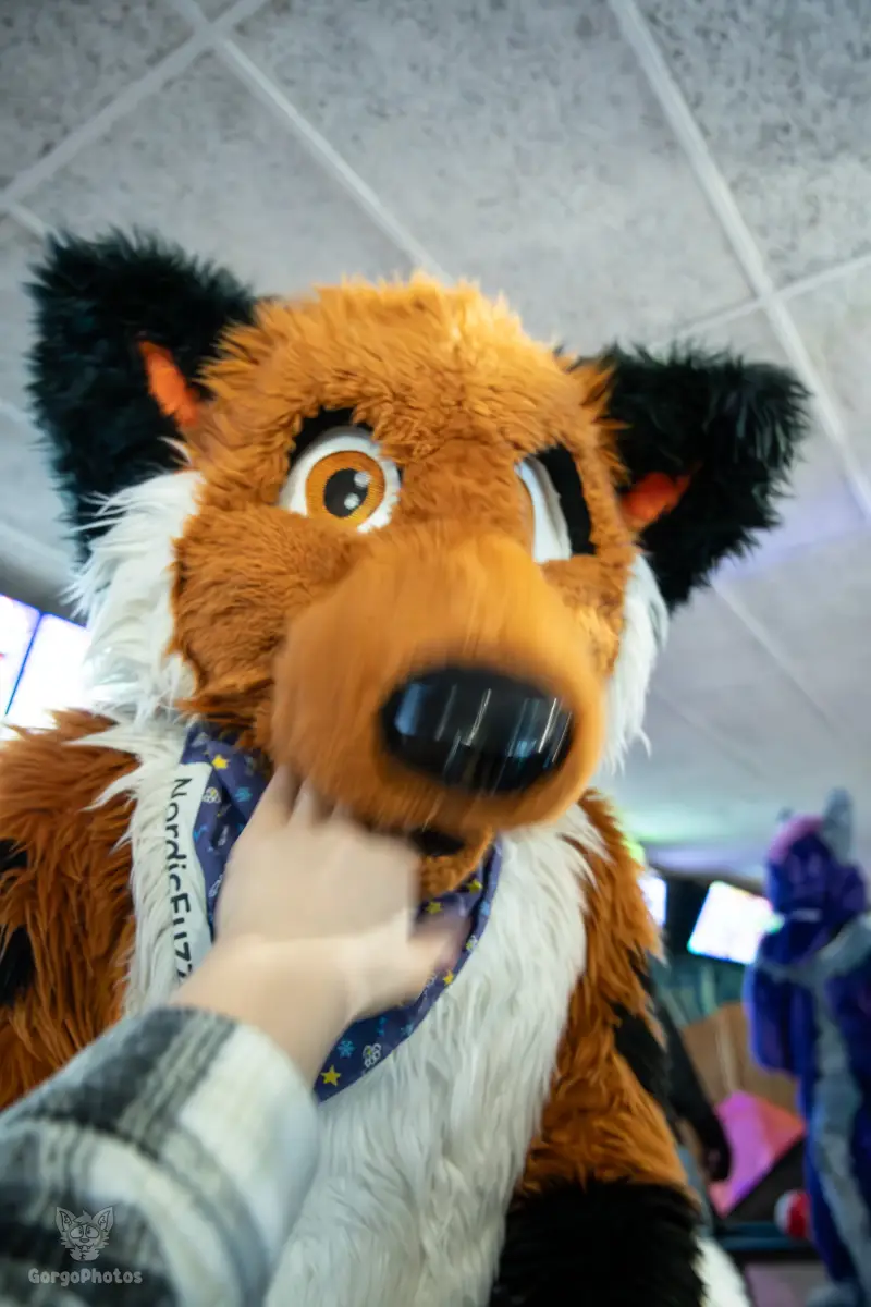 blukysbowlingmeet-8-38-standard.webp