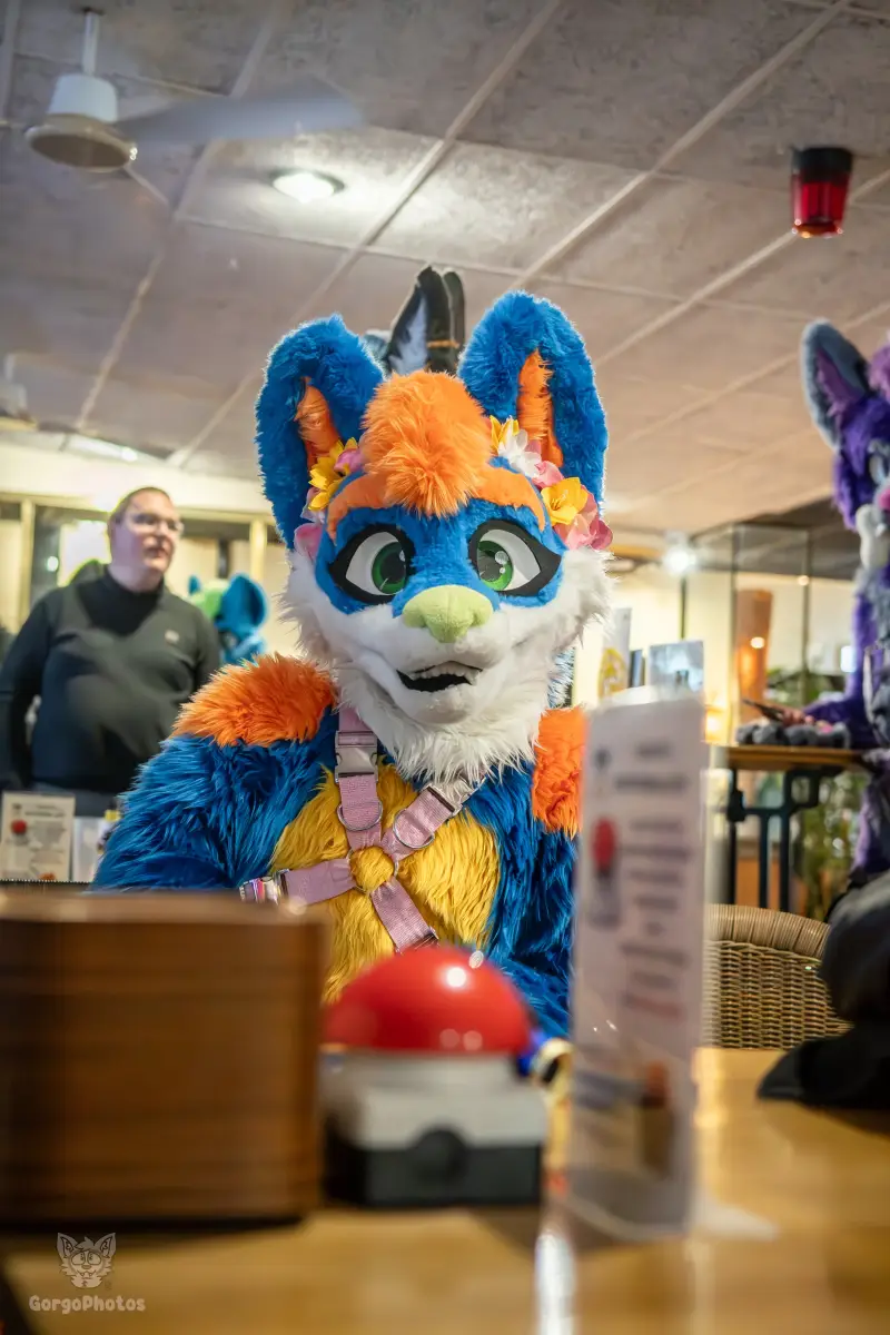 blukysbowlingmeet-8-5-standard.webp