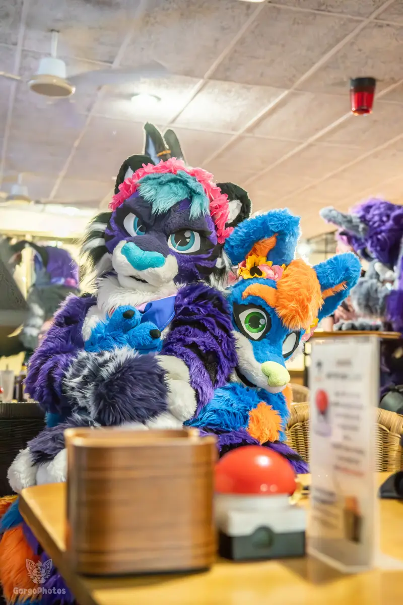 blukysbowlingmeet-8-6-standard.webp