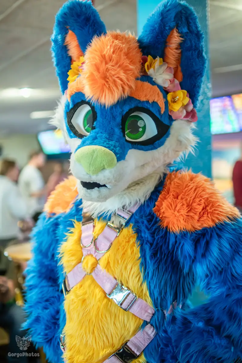 blukysbowlingmeet-8-69-standard.webp
