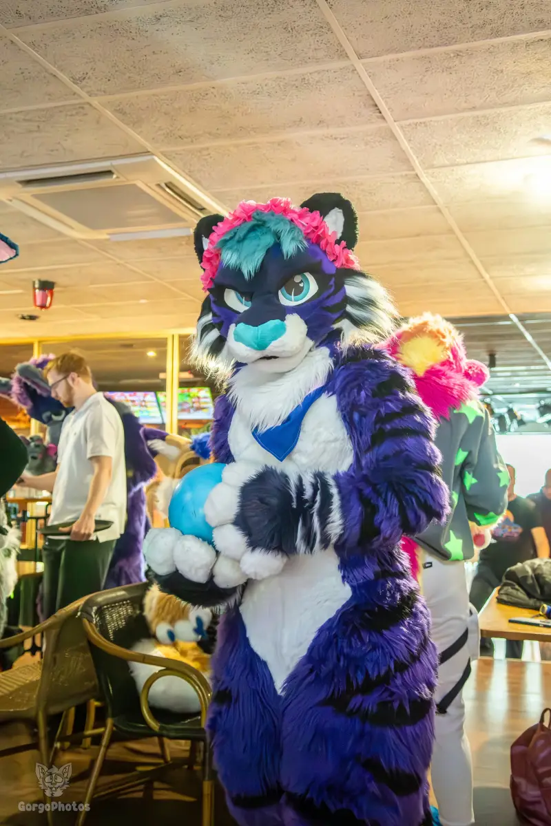 blukysbowlingmeet-8-7-standard.webp