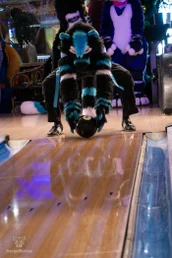 blukysbowlingmeet7-11-standard.webp