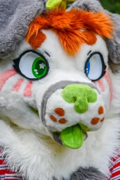 blydespicnic-10-standard.webp