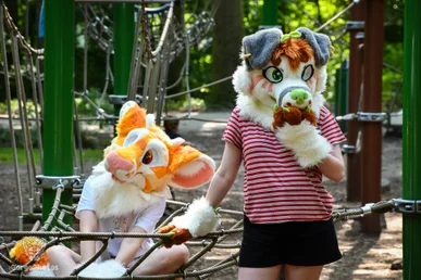 blydespicnic-47-standard.webp