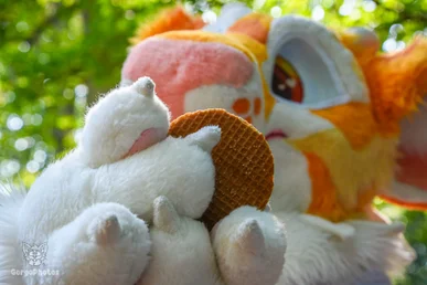 blydespicnic-56-standard.webp