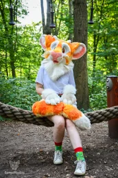 blydespicnic-75-standard.webp